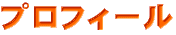 �v���t�B�[��